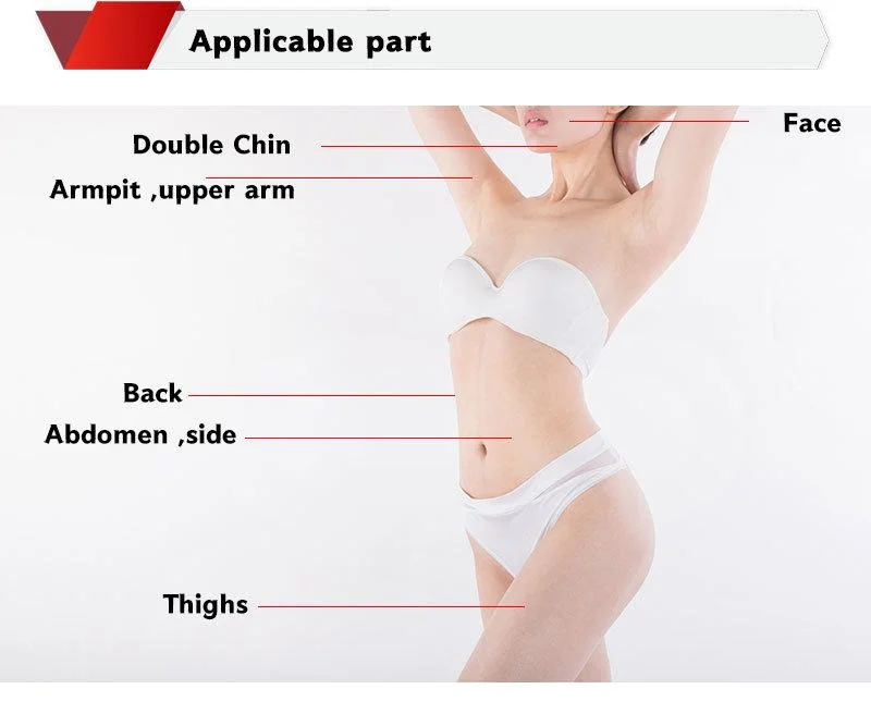 2022 New Products on Hot Sale Online Lipolysis Injection Lipo Lab Ppc Lipolytic Solution Fat Dissolve Body Face Slimming